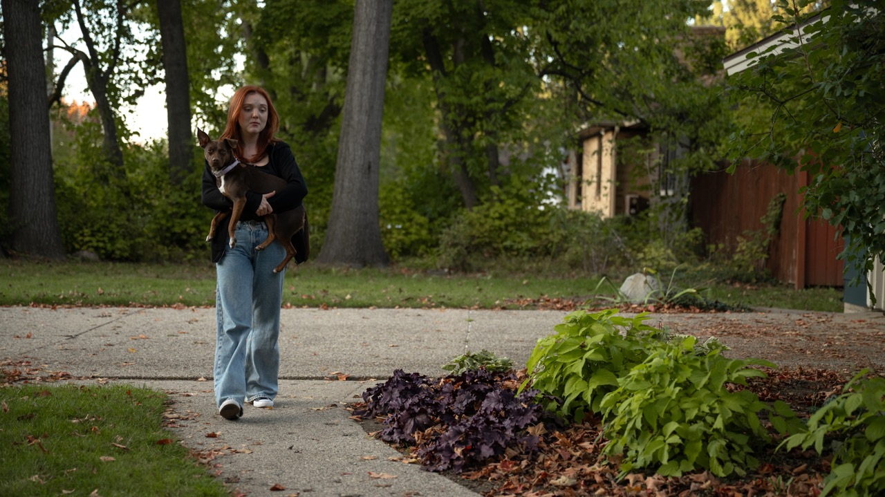 The Lost Dog Teaser Trailer